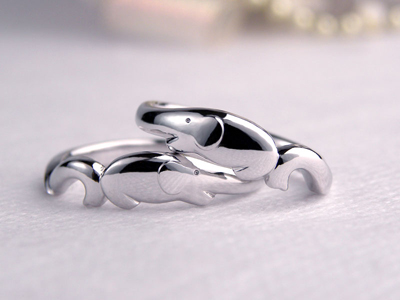 ゾウの結婚指輪